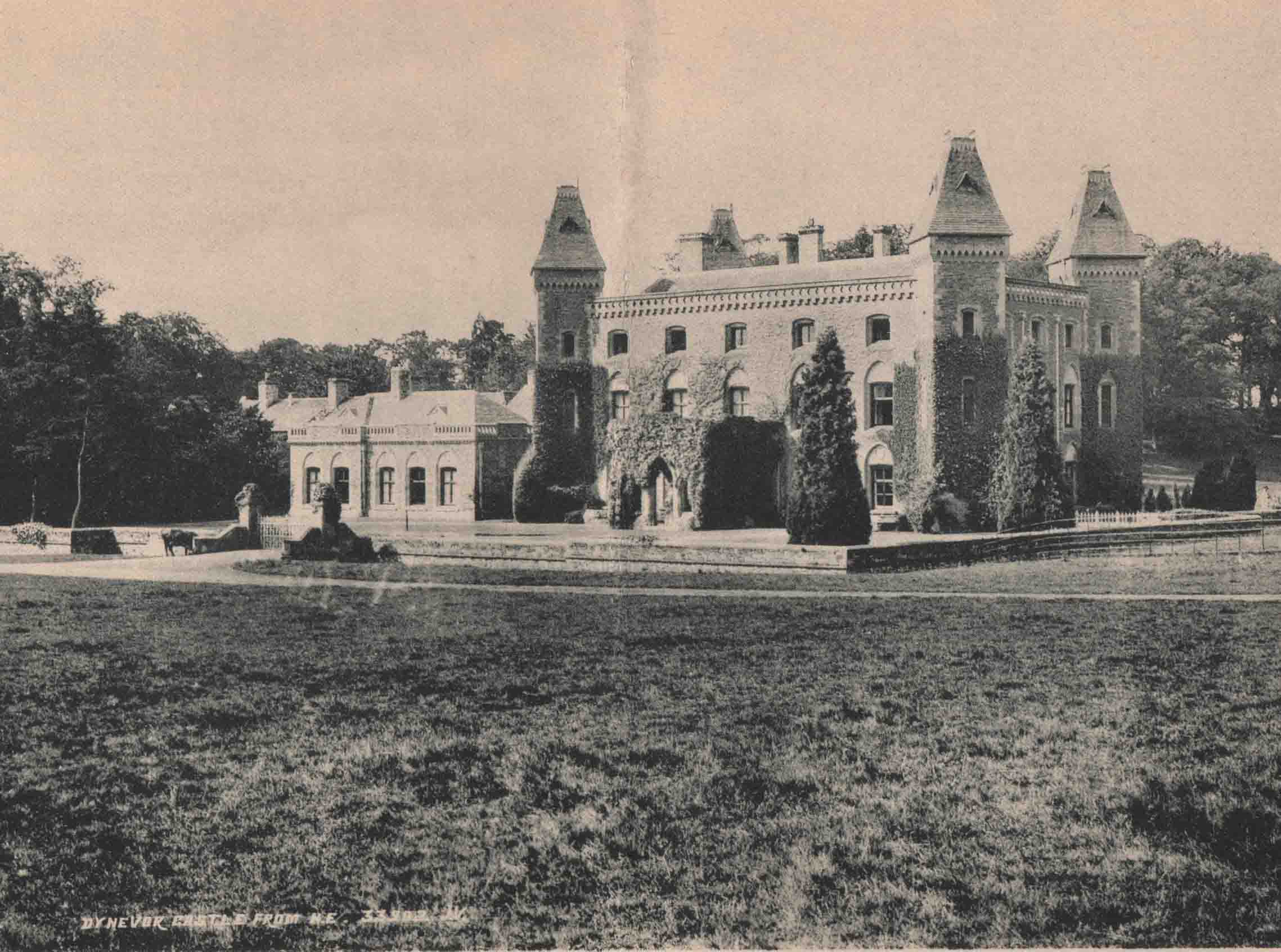 Dynevor Castle