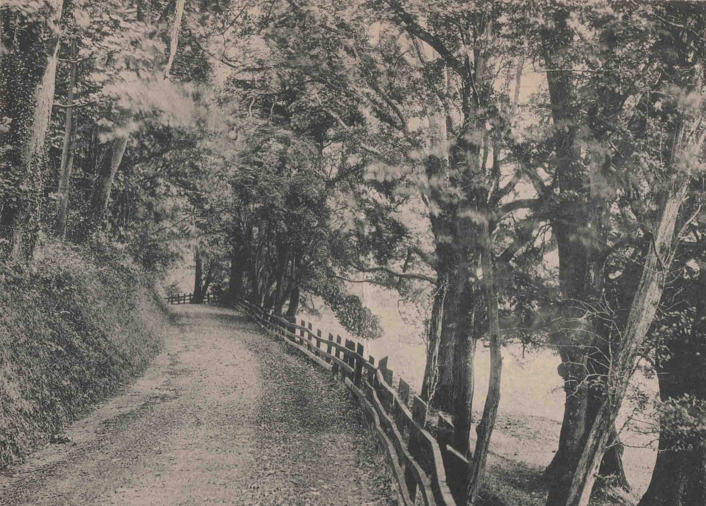 Lladefeisant RD